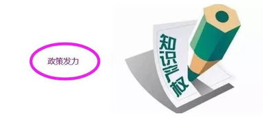 知識(shí)產(chǎn)權(quán)新風(fēng)口來(lái)臨 最強(qiáng)概念股全解析